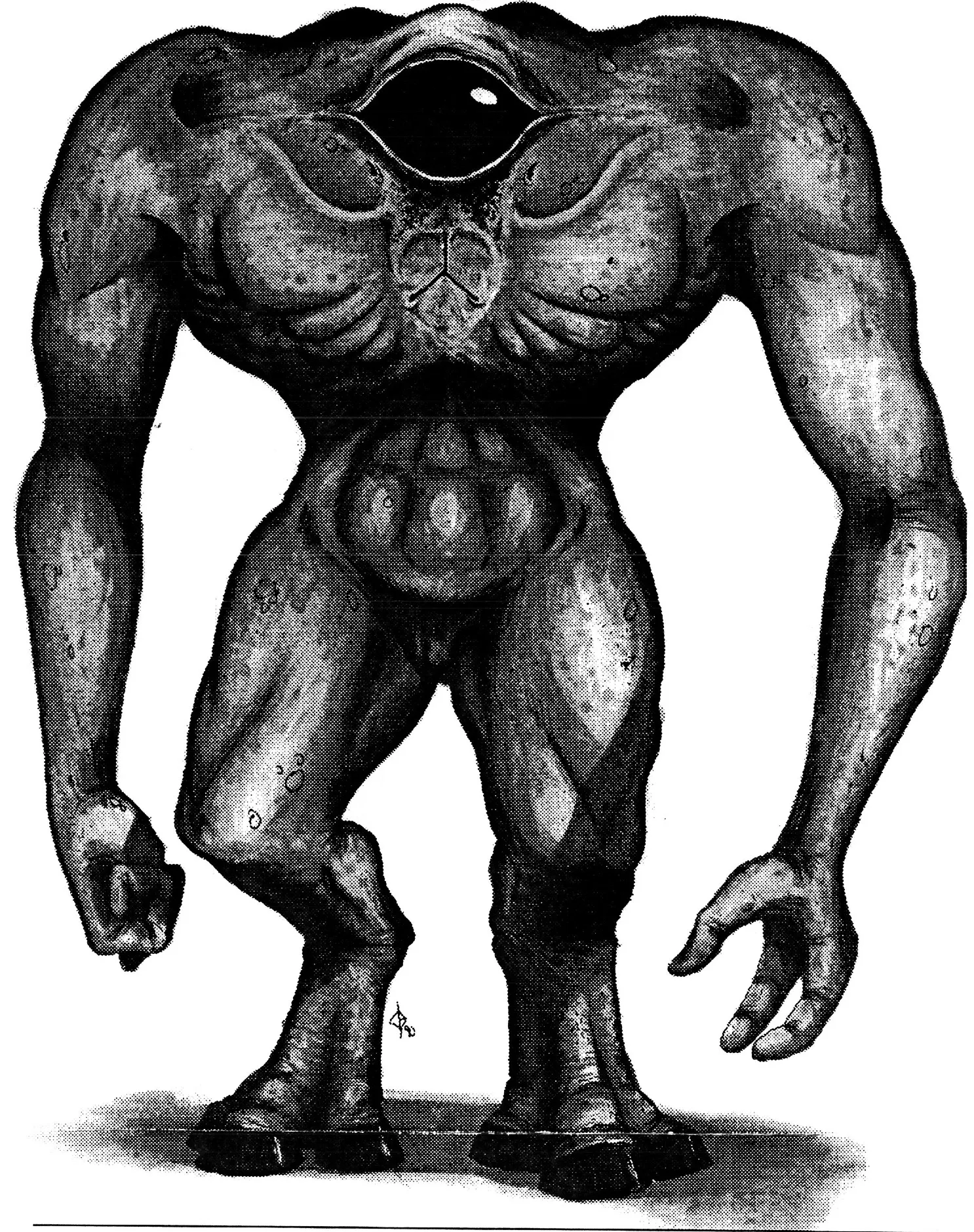Krane